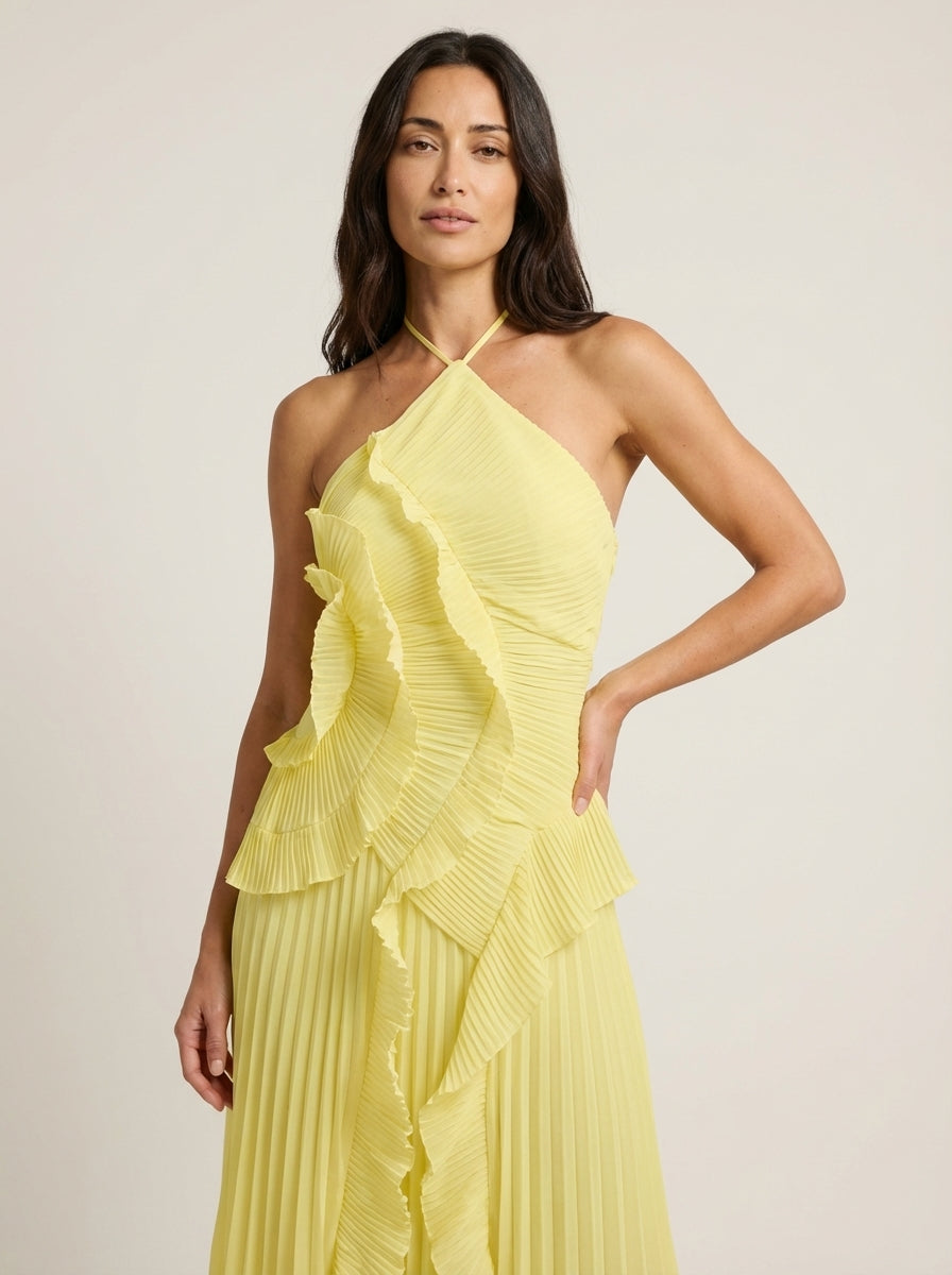 Rose | Long Pleated Dress
