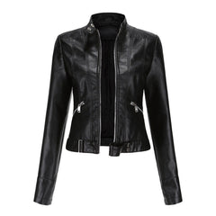 Sasha | Cropped Moto Jacket
